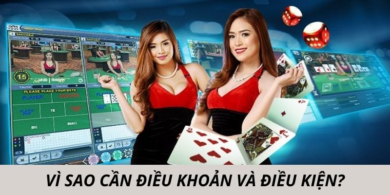 Vì sao cần có điều khoản và điều kiện Kubet88?