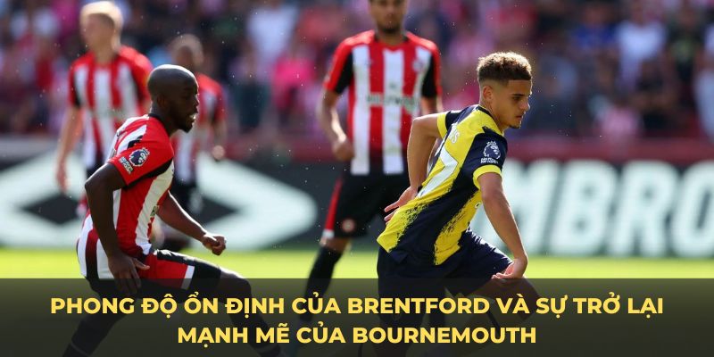 Phong độ ổn định của Brentford và sự trỗi dậy của Bournemouth