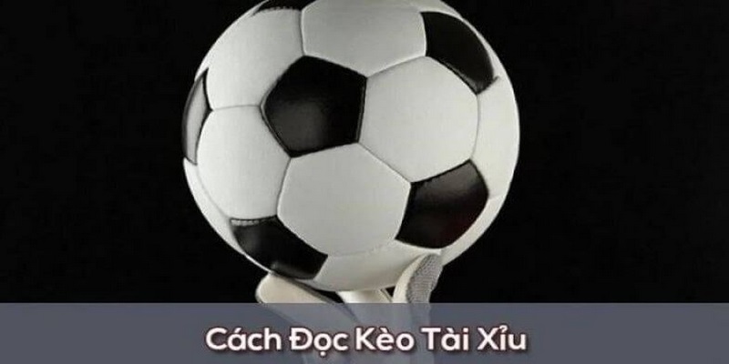 Hiểu về cách đọc kèo Over/Under 2.5 khi tham gia cá cược