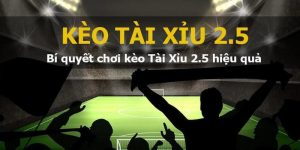 tài xỉu 2.5